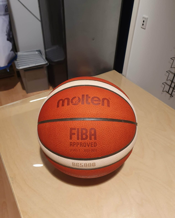 Basketball FIBA 24/25